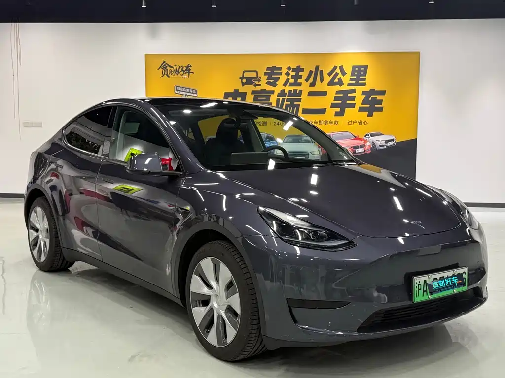 Tesla Model Y — миниатюра 3