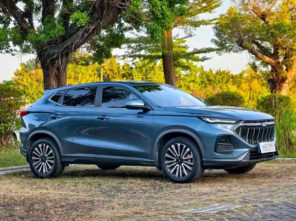 Oshan Oushang X5 — миниатюра 3