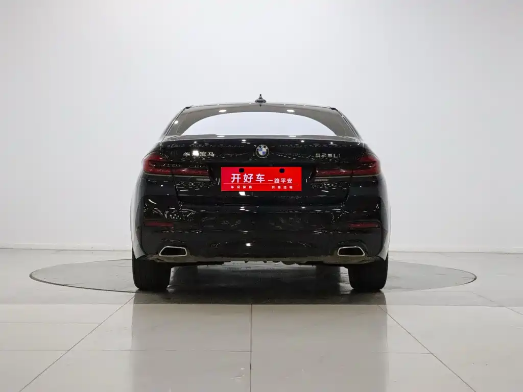 BMW 5 Series — миниатюра 5