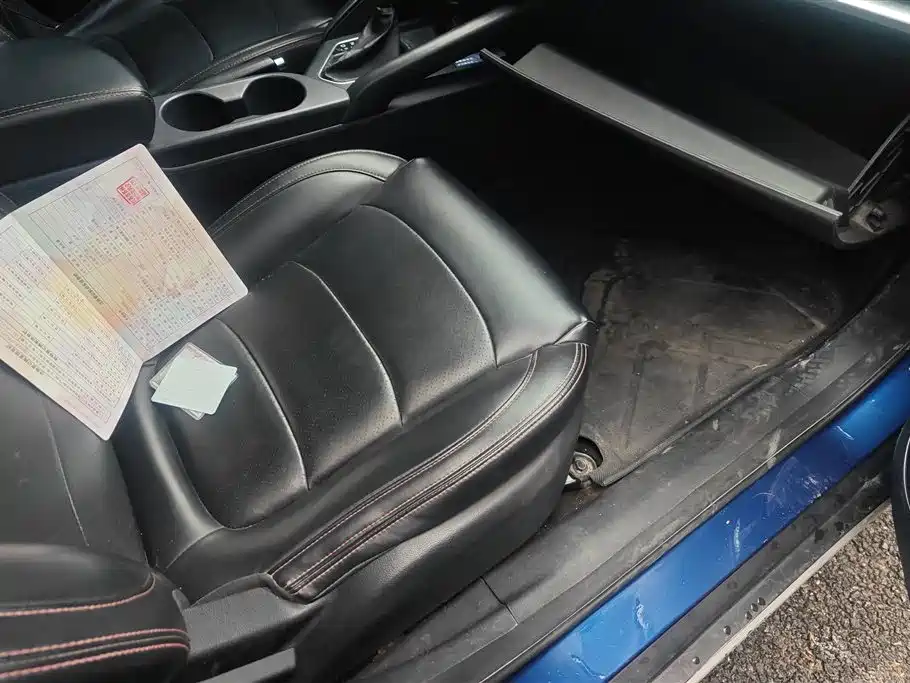 DONGFENG SCENERY 500