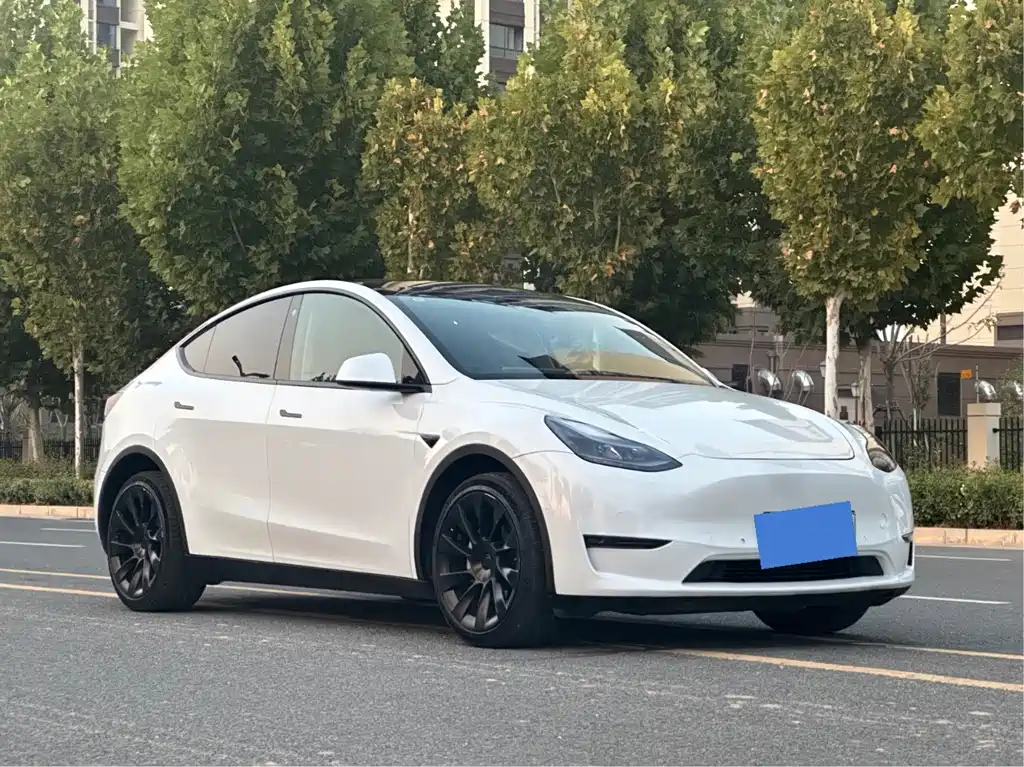 Tesla Model Y — миниатюра 3