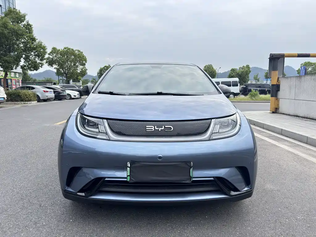 BYD Dolphin — миниатюра 2