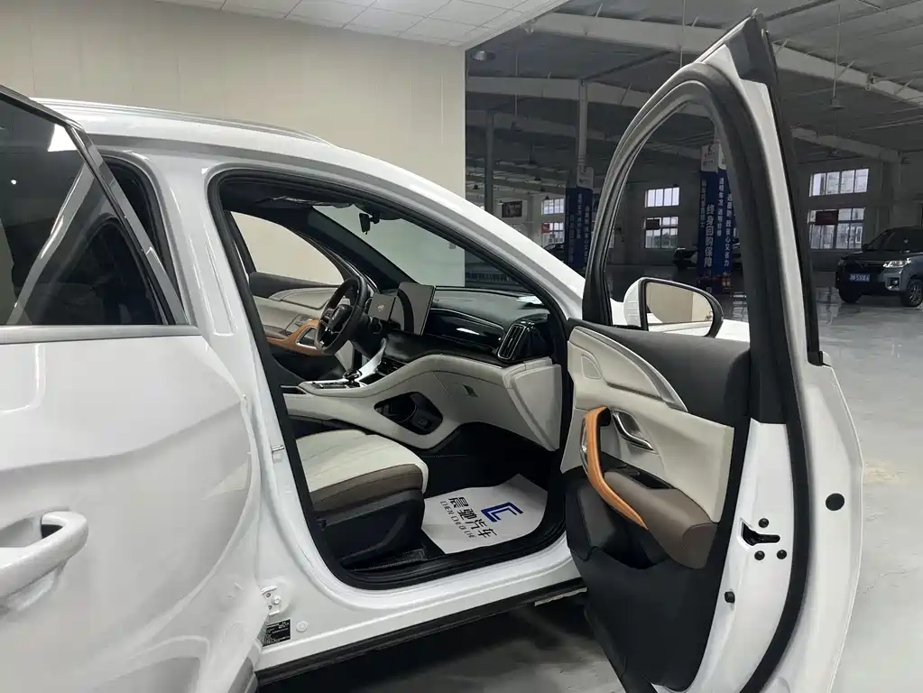 BYD Pro New Energy — миниатюра 13