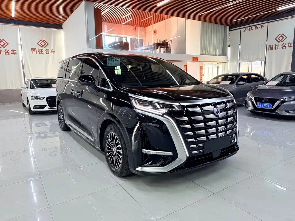Denza Denza D9 — миниатюра 2