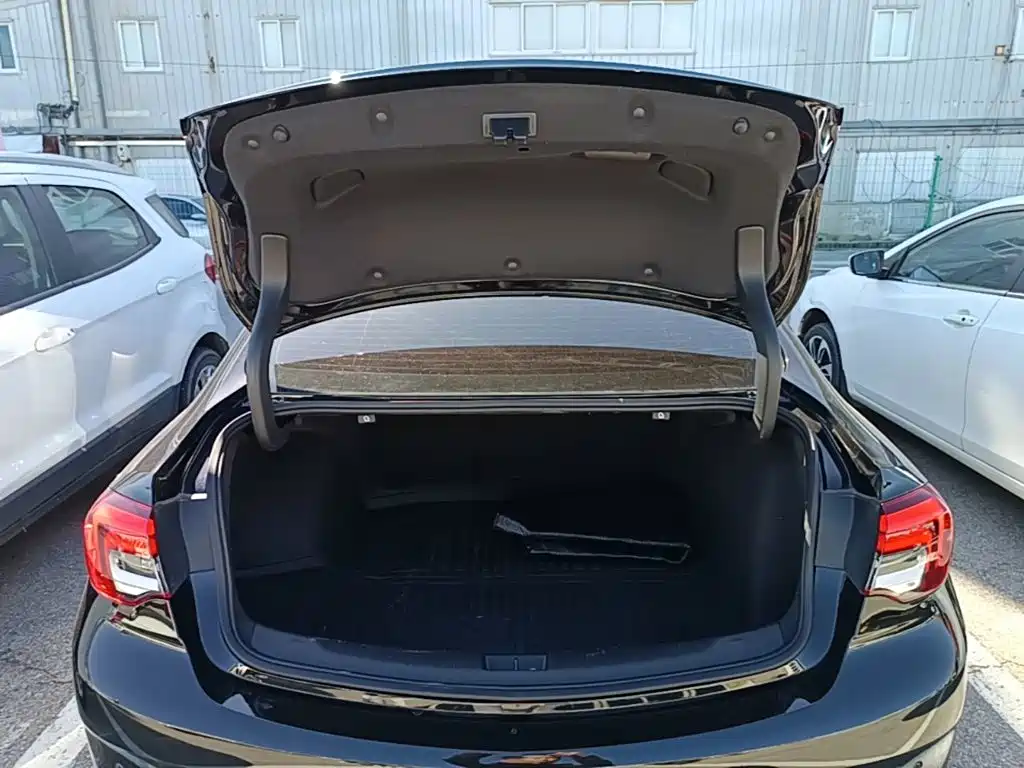 Buick Regal — миниатюра 19