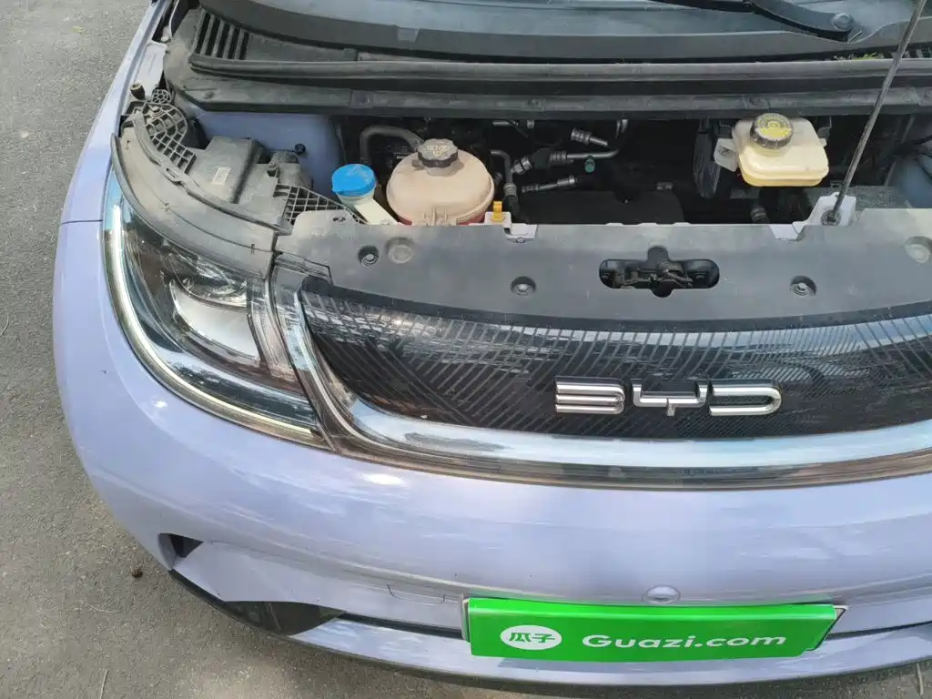 BYD Dolphin — миниатюра 21