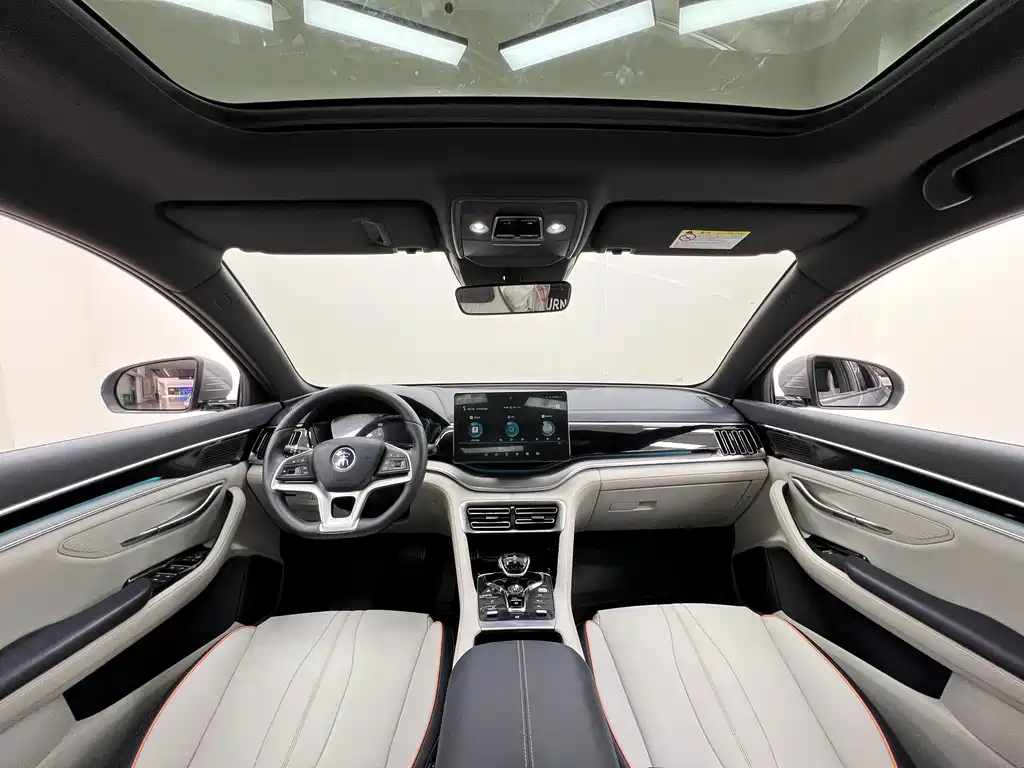 BYD PLUS New Energy — миниатюра 19