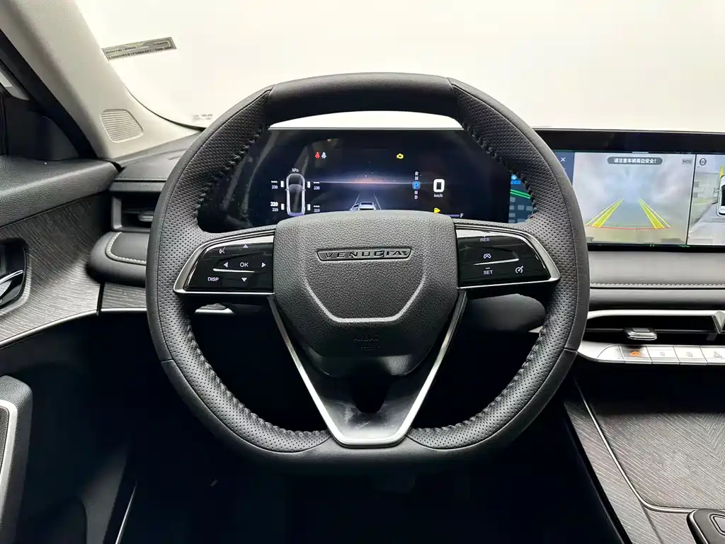 Venucia V — миниатюра 9