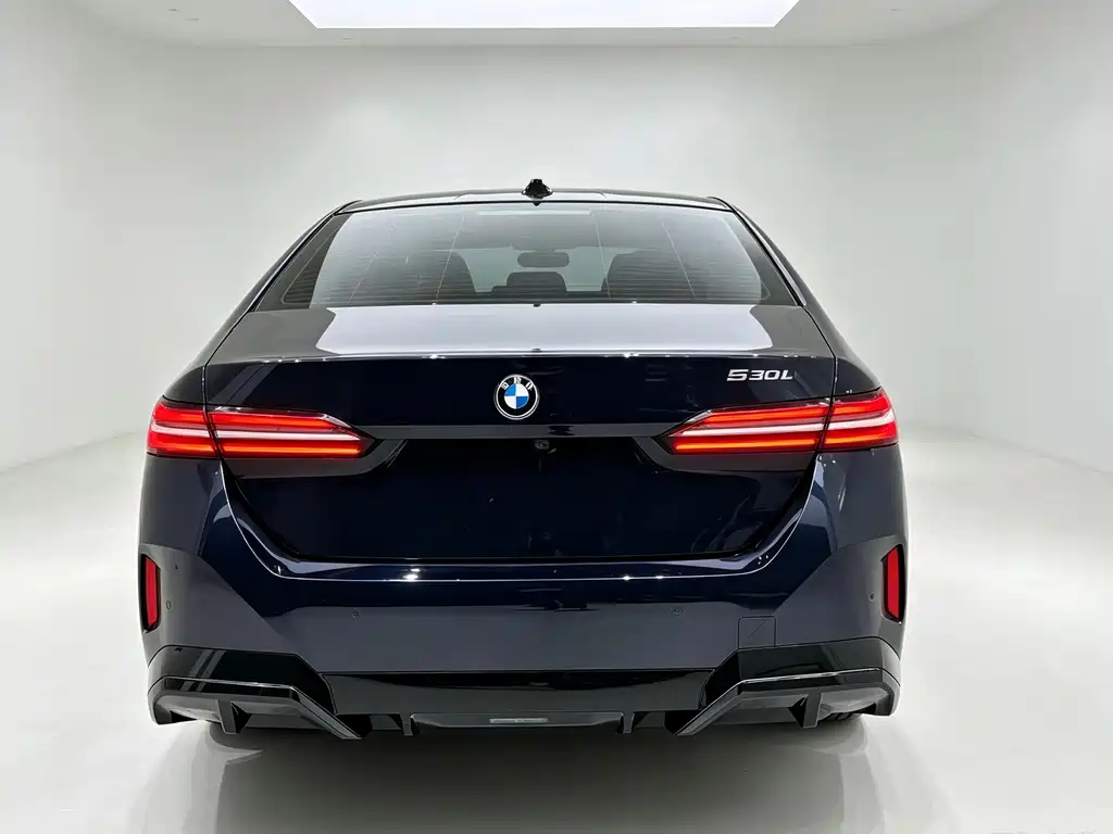 BMW 5 Series — миниатюра 5