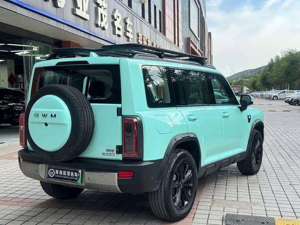 Haval Menglong New Energy — миниатюра 15