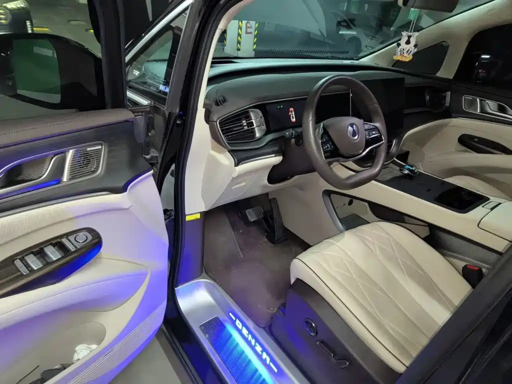 Denza Denza D9 — миниатюра 12
