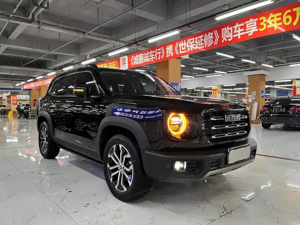 HAVAL BIG DOG