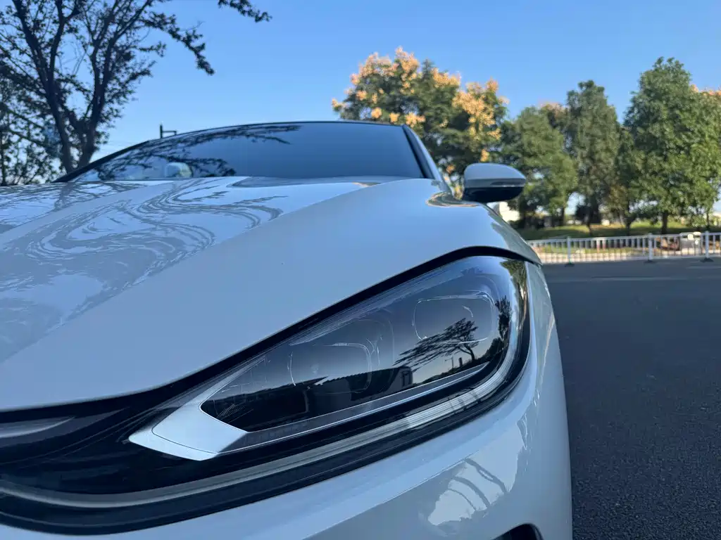 Volkswagen Lamando — миниатюра 2