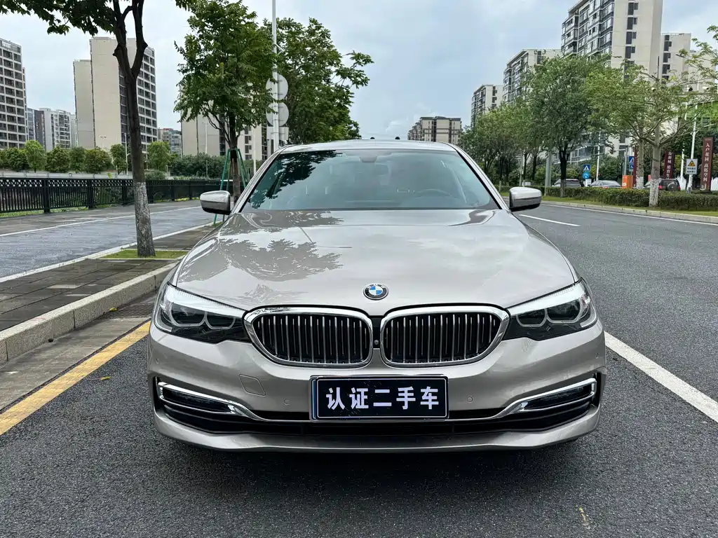 BMW 5 Series 5 2019 530Li Lead Luxury