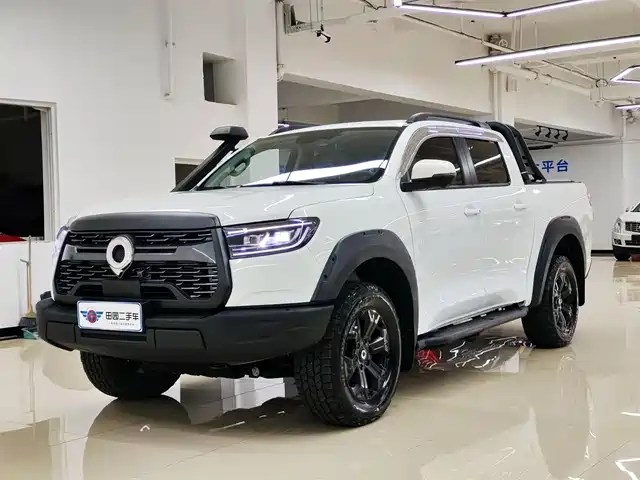 GREAT WALL CANNON 2024