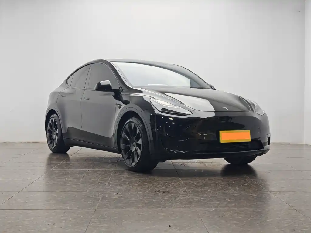 Tesla Model Y — миниатюра 2