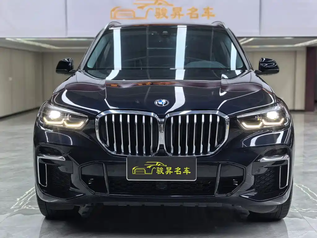 BMW X5 — миниатюра 2