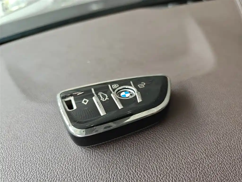 BMW 5 Series 5 2020 530Li Lead Luxury