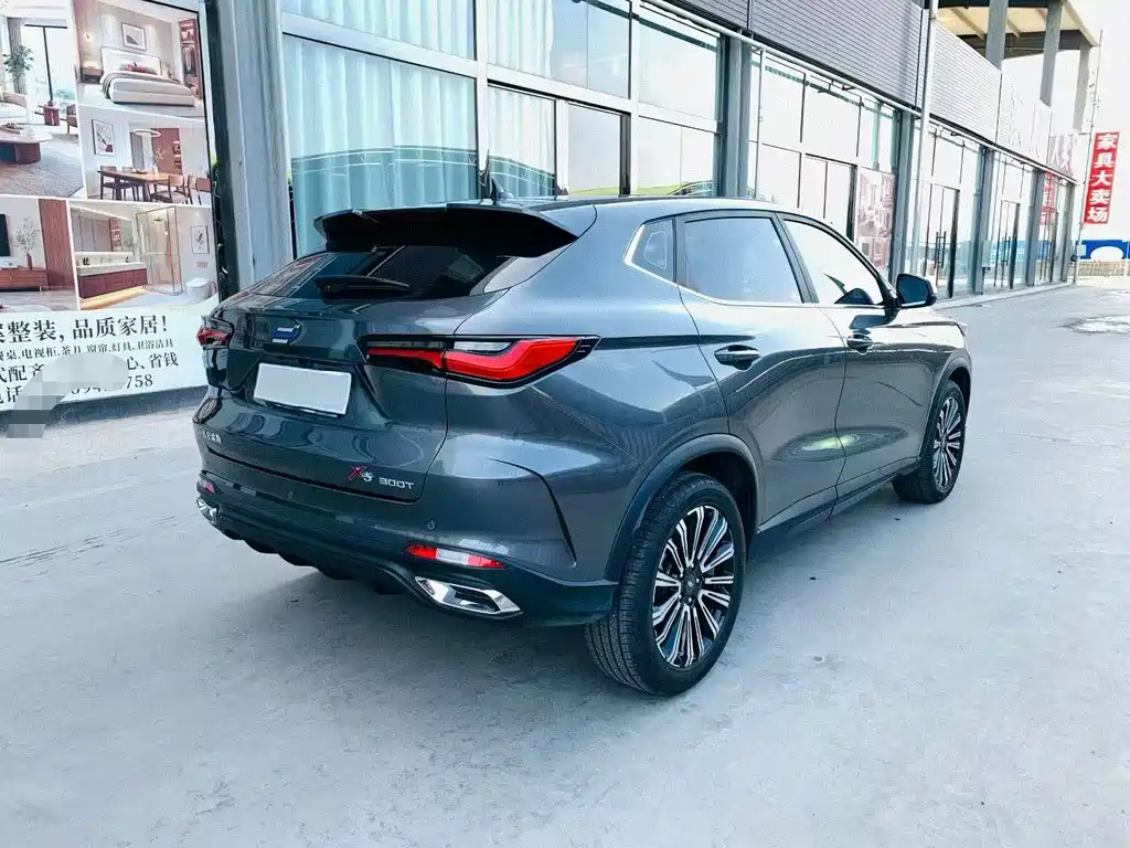 Oshan Oushang X5 — миниатюра 6