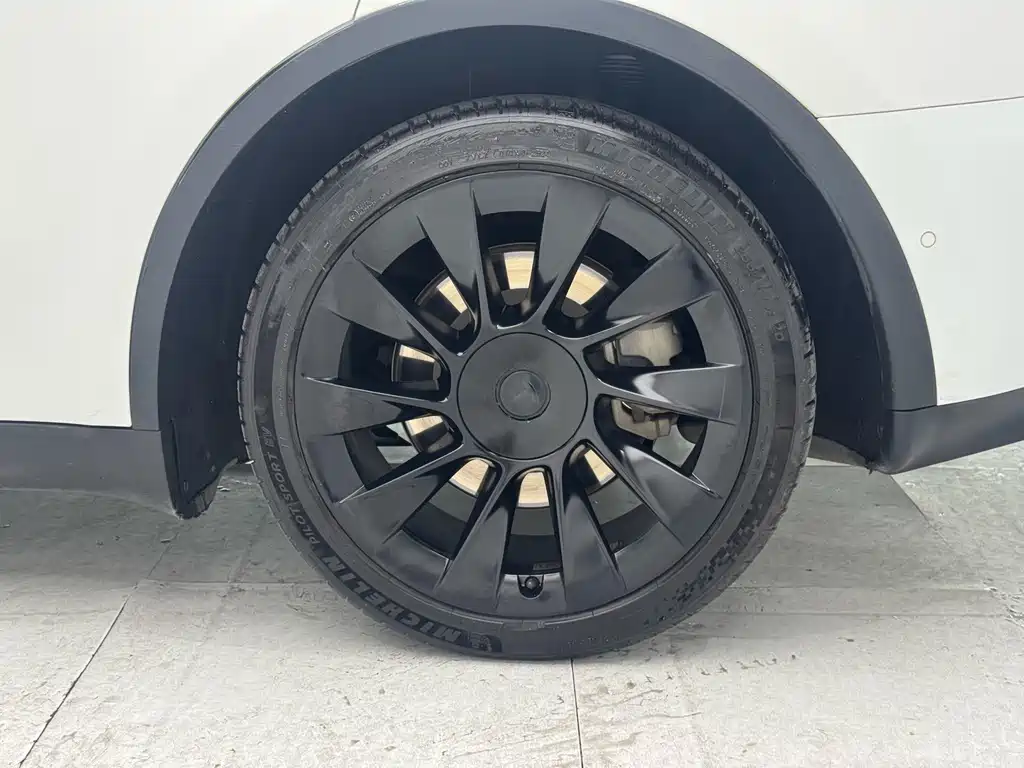 Tesla Model Y — миниатюра 8