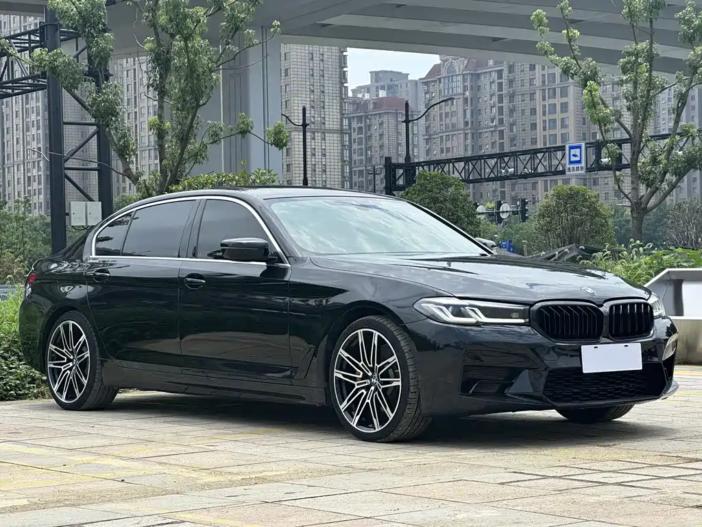 BMW 5 Series New Energy 535Le Luxury Package, фото 3