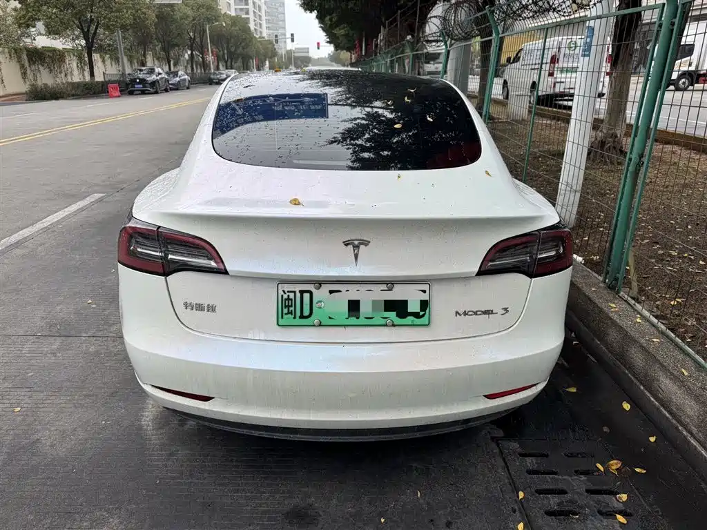 TESLA MODEL 3