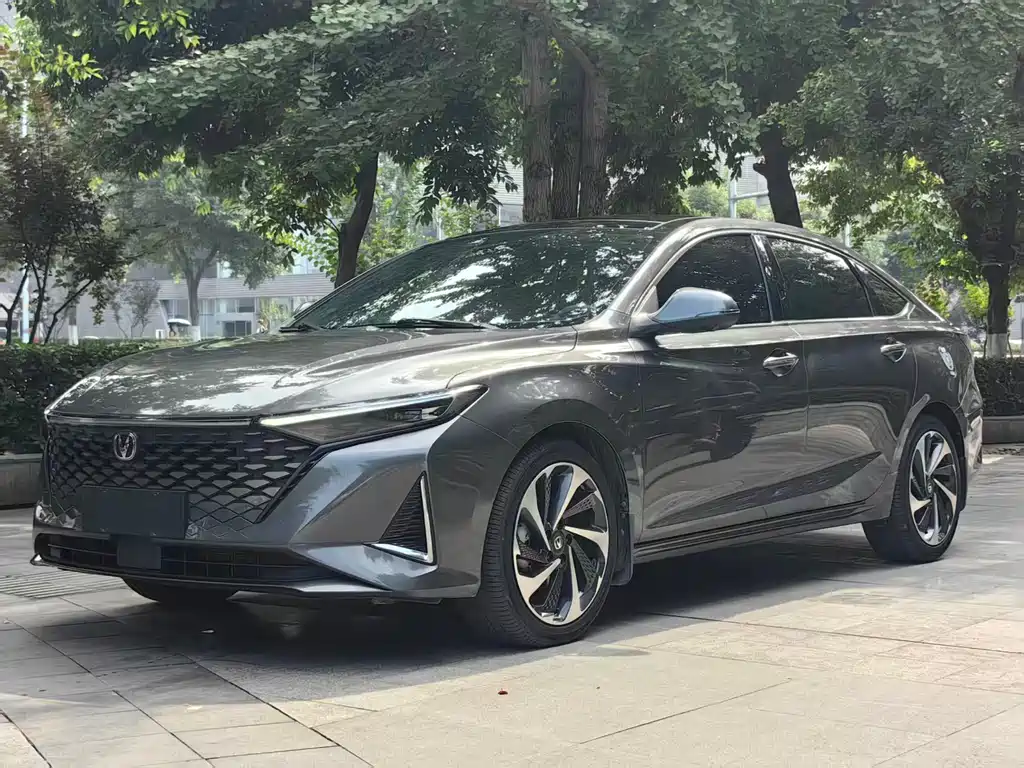 2024 Changan Raeton - zdjęcie 1 z 20