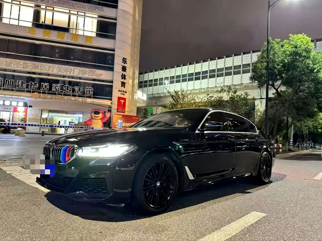 BMW 5 Series — миниатюра 2