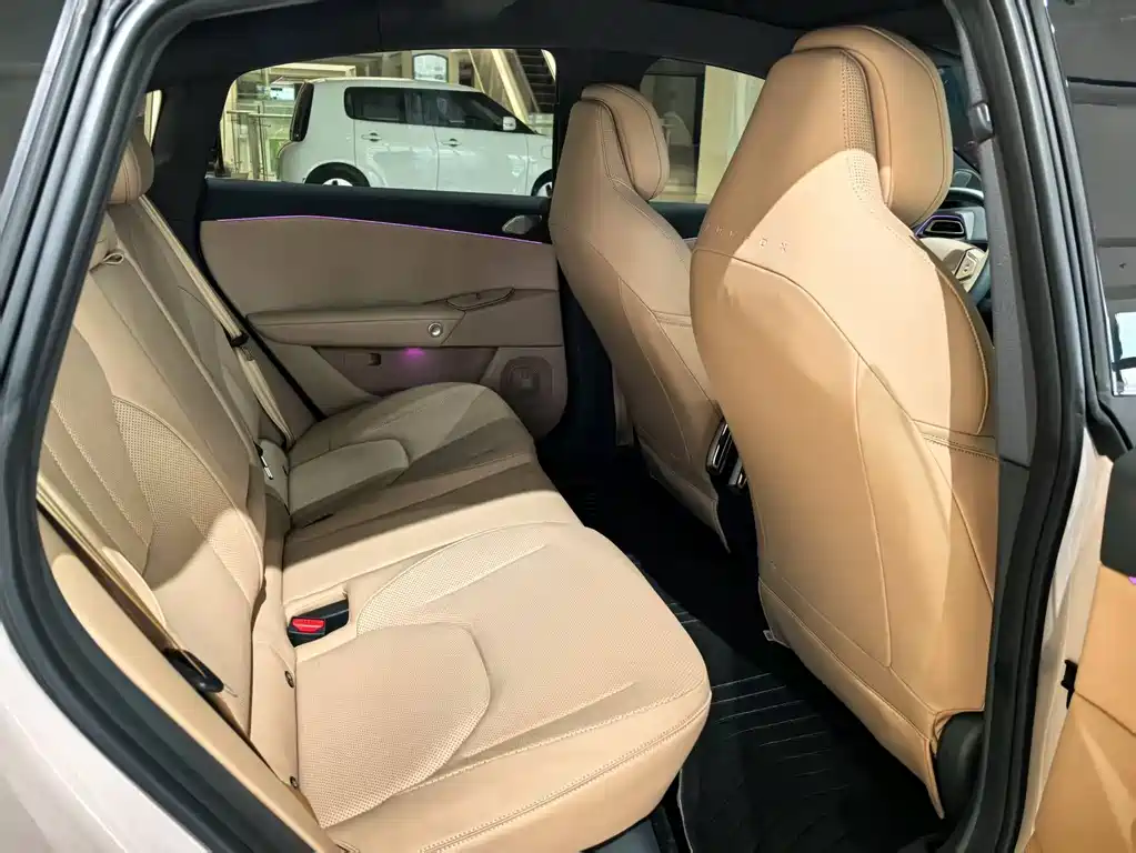 ARCFOX EXTREME FOX POLAR FOX ALPHA S5