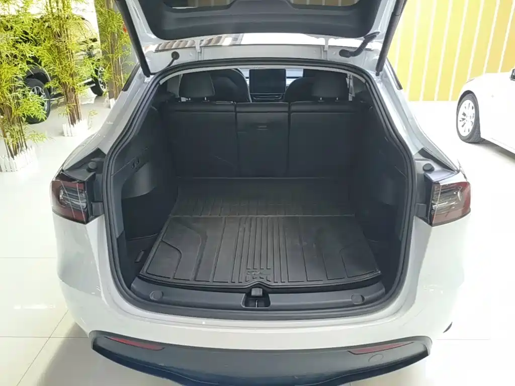 Tesla Model Y — миниатюра 19