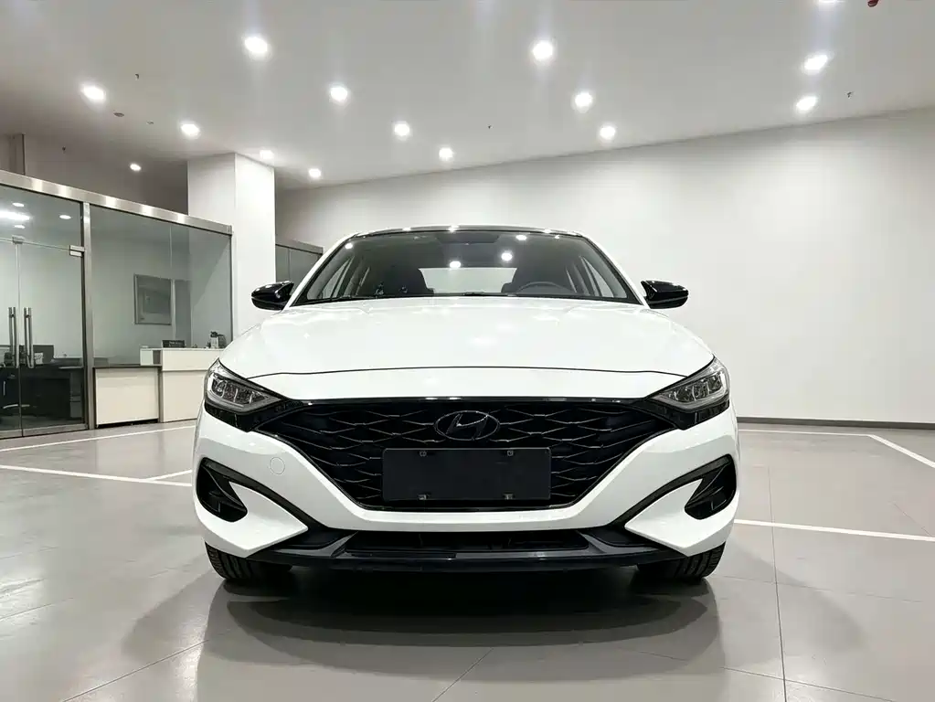 Hyundai Fista — миниатюра 2