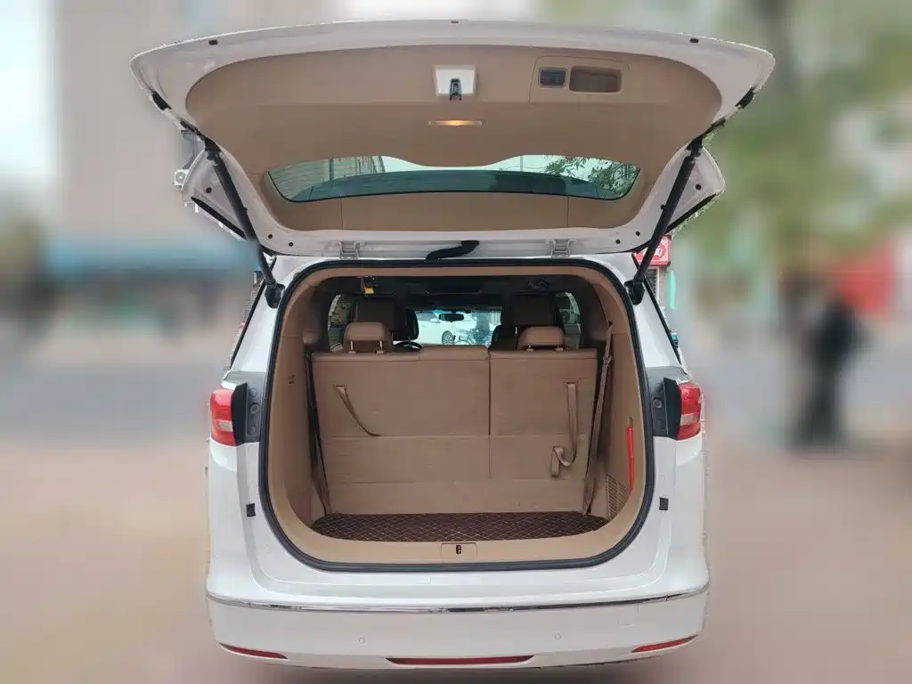 Buick GL8 — миниатюра 15