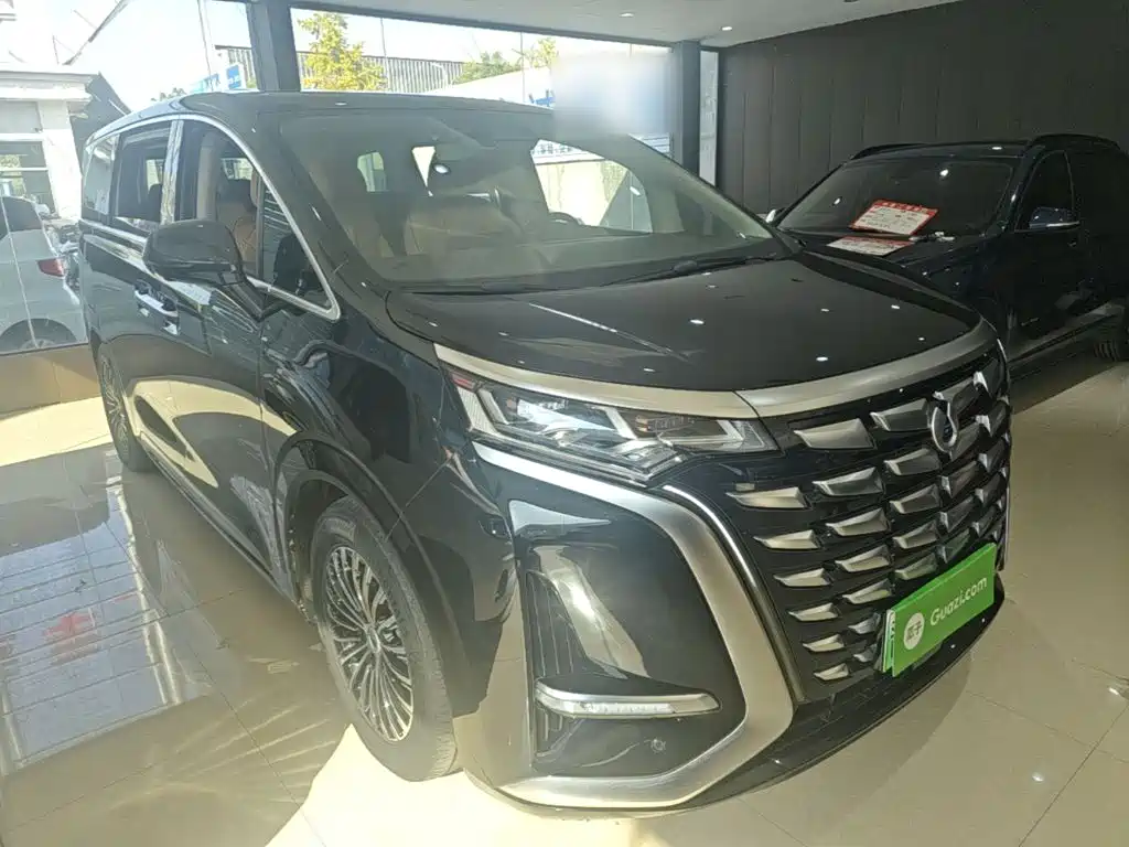 Denza Denza D9 — миниатюра 4