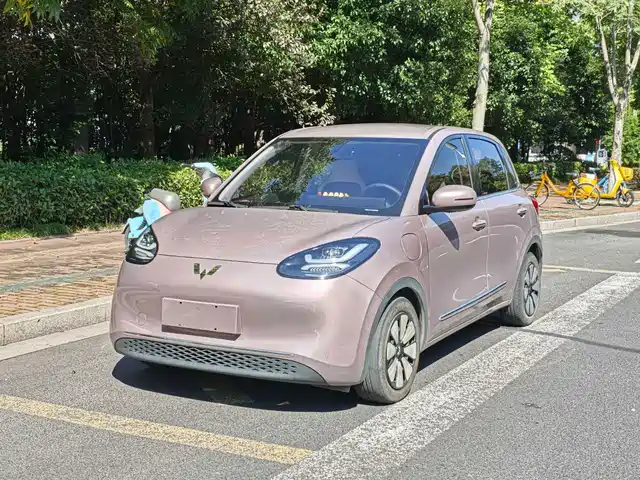 Wuling Bingo