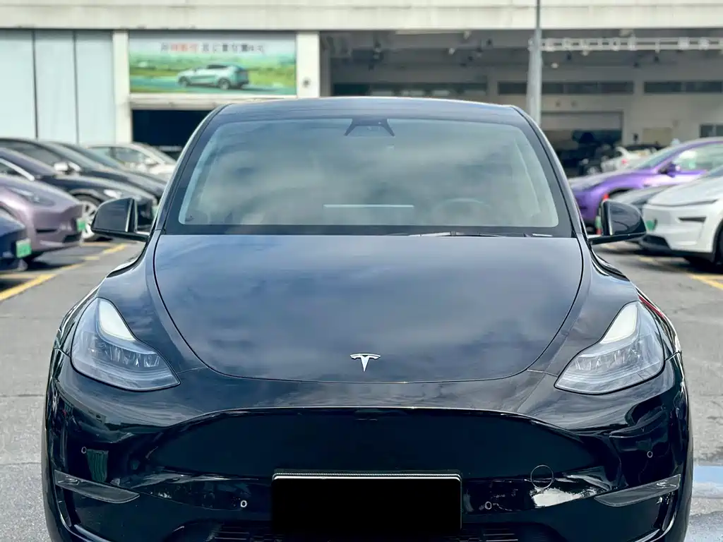Tesla Model Y — миниатюра 7