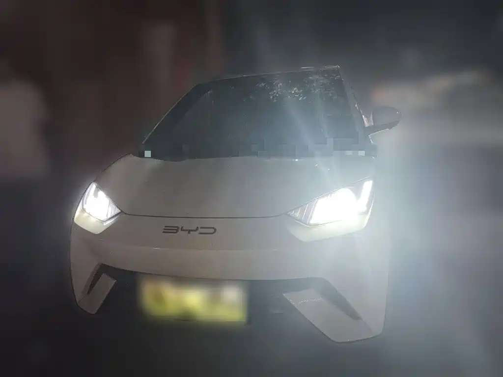 BYD Seagull