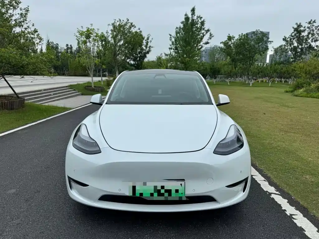 Tesla Model Y — миниатюра 3