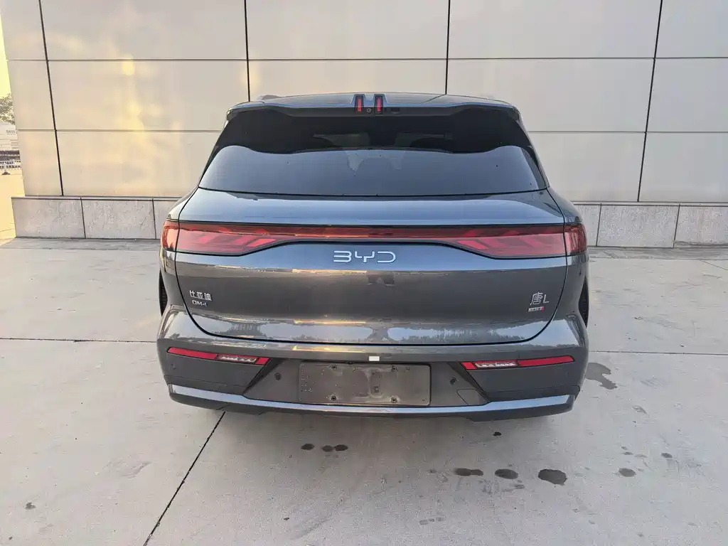 BYD Tang L - фото 5