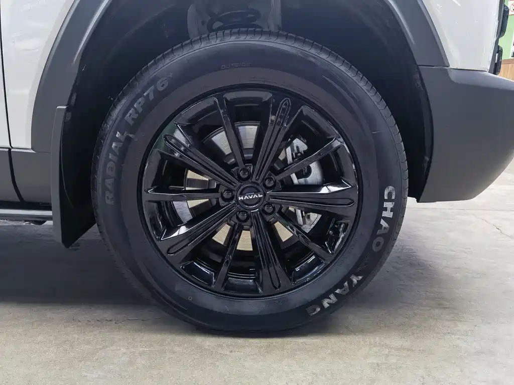 HAVAL RAPTORS NEW ENERGY