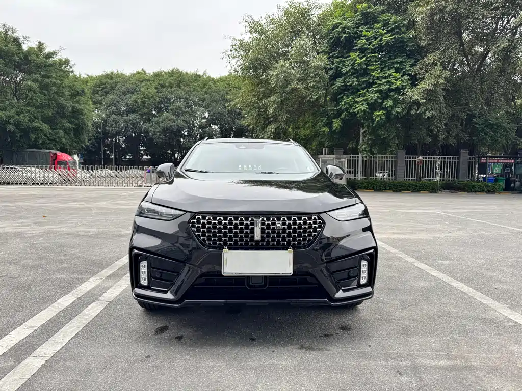 WEI PAI WEI BRAND VV7