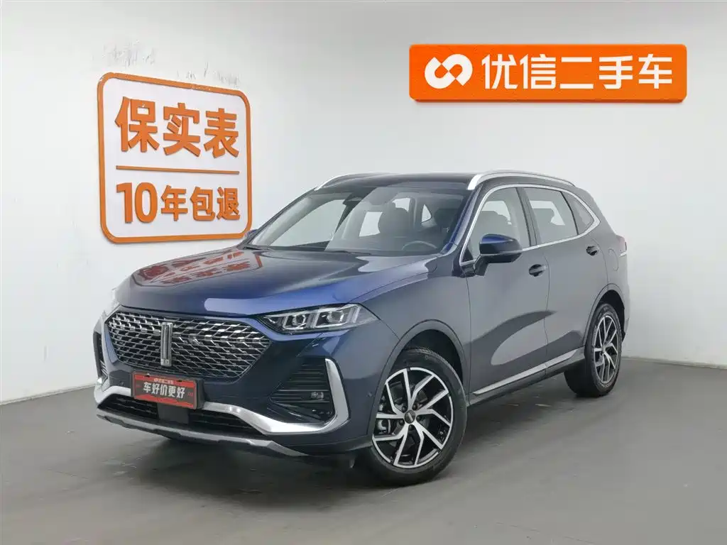 WEI PAI WEI BRAND LATTE DHT PHEV