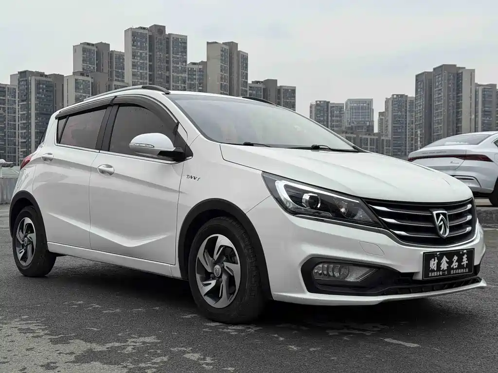BAOJUN 310