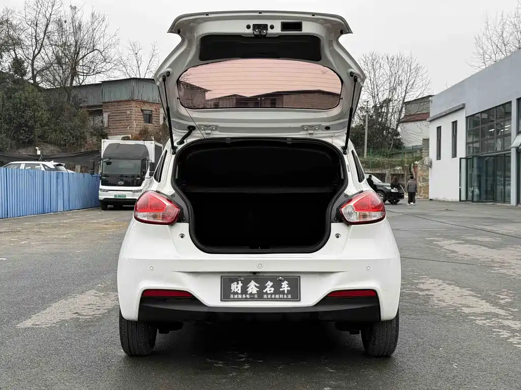 BAOJUN 310