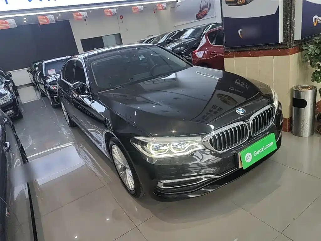 BMW 5 Series 5 2019 530Li Premium Luxury
