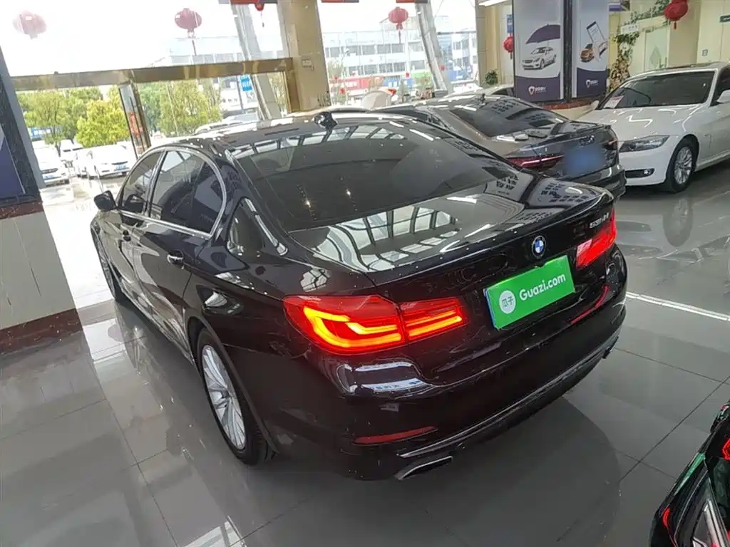 BMW 5 Series 5 2019 530Li Premium Luxury