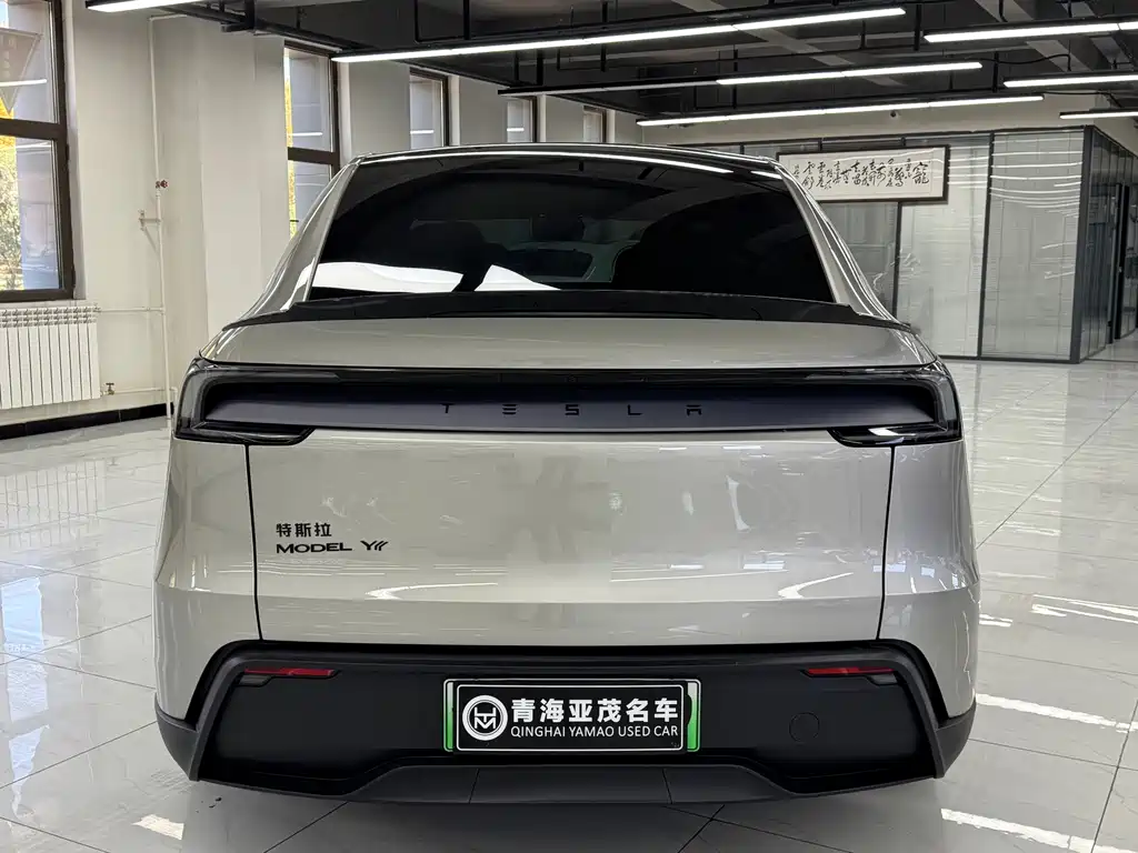 Tesla Model Y L — миниатюра 16