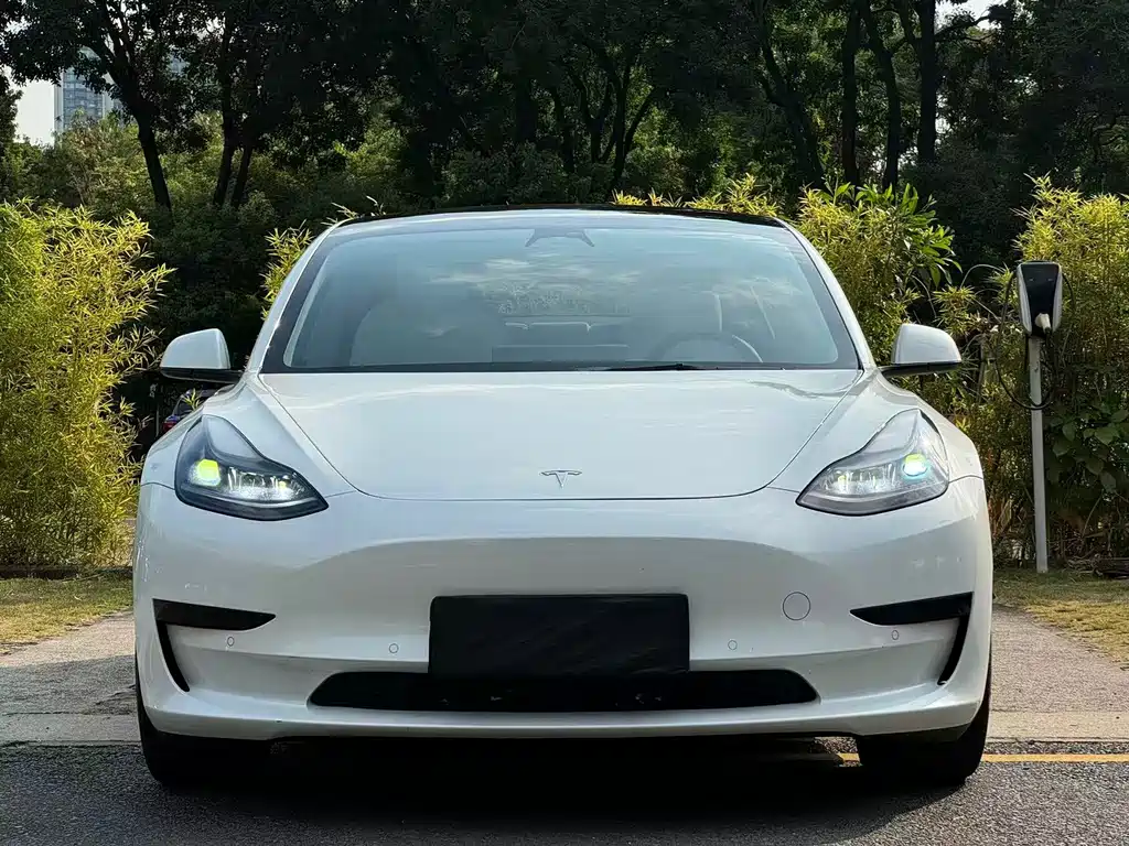 Tesla Model 3 — миниатюра 2