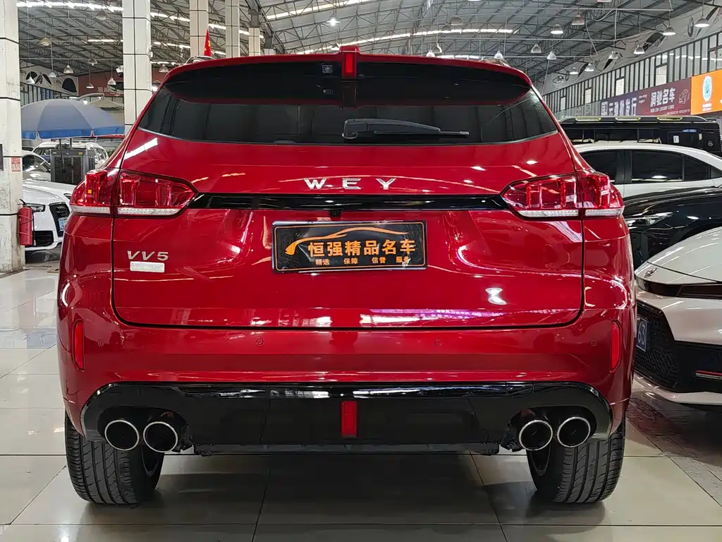 WEI PAI WEI BRAND VV5