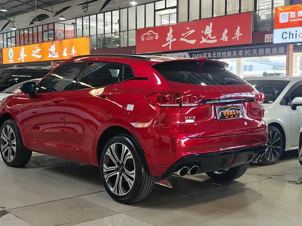 WEI PAI WEI BRAND VV5