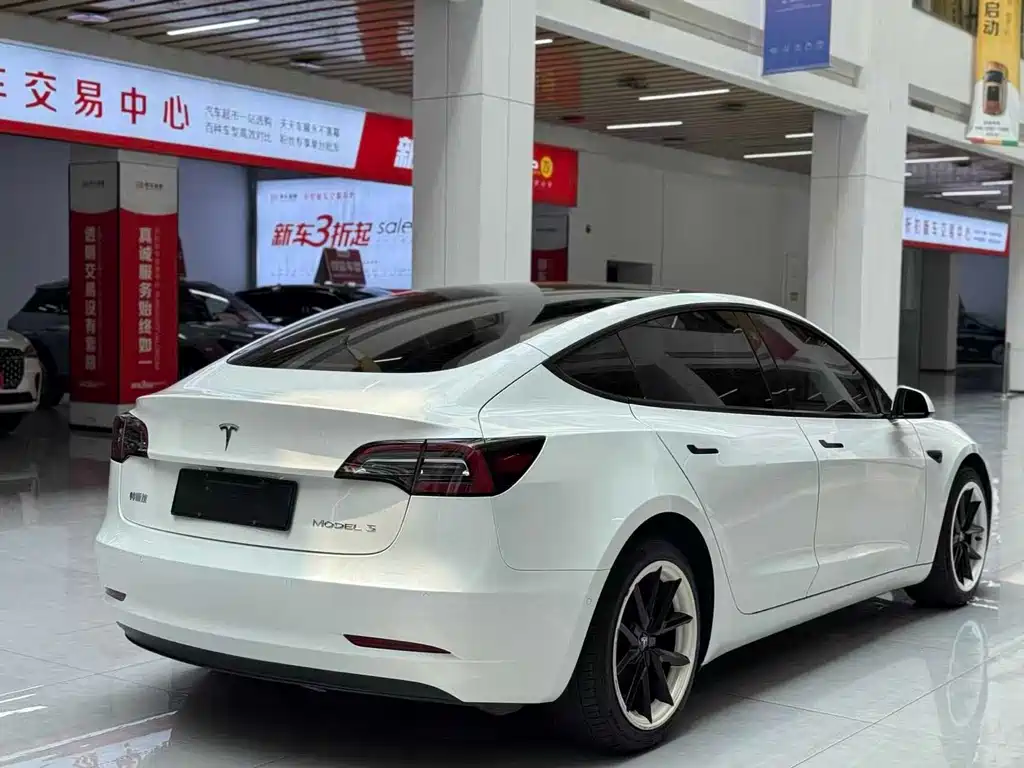 Tesla Model 3 2021 3D6